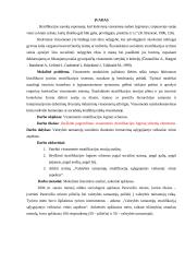 Visuomenės stratifikacija 3 puslapis