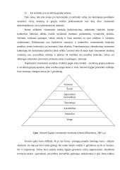 Visuomenės stratifikacija 5 puslapis
