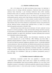 Visuomenės stratifikacija 8 puslapis