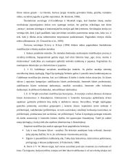 Visuomenės stratifikacija 9 puslapis
