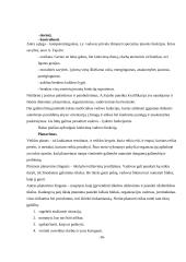 Vadovavimo stiliai įmonėje 13 puslapis