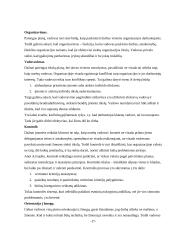Vadovavimo stiliai įmonėje 14 puslapis
