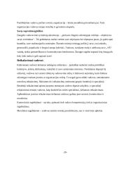 Vadovavimo stiliai įmonėje 17 puslapis