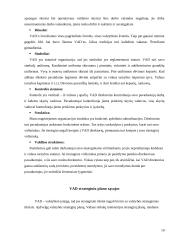 Vadovybės apsaugos departamento (VAD) pareigūnų kvalifikacijos kėlimo strategija 19 puslapis