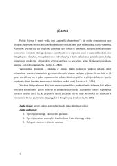 Vadovo asmenybės bruožų įtaka sėkmingai veiklai 3 puslapis