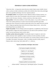 Vadovo asmenybės bruožų įtaka sėkmingai veiklai 4 puslapis