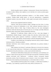 Vadovo etikos reikšmė versle 3 puslapis