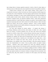 Lietuvos Respublikos įstatymai žmogaus gyvenime 3 puslapis