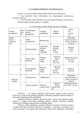 Vairo kolonėlės veleno remonto technologija 15 puslapis