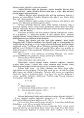 Vairo kolonėlės veleno remonto technologija 16 puslapis