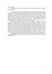 Vairo kolonėlės veleno remonto technologija 9 puslapis