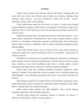 Valdymo funkcijos BMS Megapolis 2 puslapis