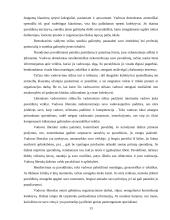 Valdymo funkcijos BMS Megapolis 11 puslapis