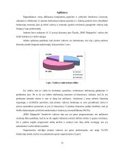 Valdymo funkcijos BMS Megapolis 13 puslapis