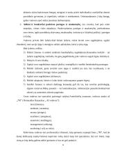 Valdymo funkcijos BMS Megapolis 4 puslapis