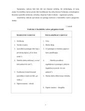 Valdymo funkcijos BMS Megapolis 5 puslapis