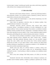 Valdymo funkcijos BMS Megapolis 10 puslapis