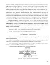 Valdymo samprata. Sistema 10 puslapis