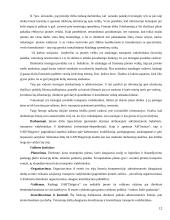 Valdymo samprata. Sistema 11 puslapis