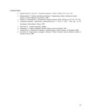 Valdymo samprata. Sistema 13 puslapis