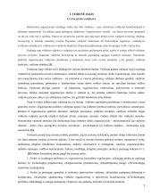 Valdymo samprata. Sistema 2 puslapis