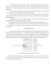 Valdymo samprata. Sistema 3 puslapis