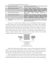 Valdymo samprata. Sistema 4 puslapis