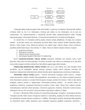 Valdymo samprata. Sistema 6 puslapis