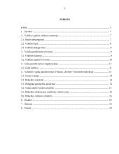 Valdžios ir galių pasiskirstymas organizacijoje 2 puslapis