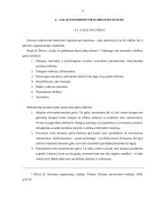 Valdžios ir galių pasiskirstymas organizacijoje 11 puslapis