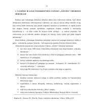 Valdžios ir galių pasiskirstymas organizacijoje 13 puslapis