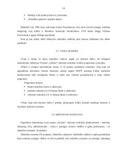 Valdžios ir galių pasiskirstymas organizacijoje 14 puslapis