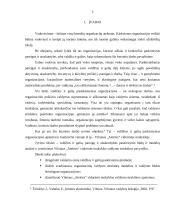 Valdžios ir galių pasiskirstymas organizacijoje 3 puslapis