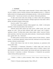 Valdžios ir galių pasiskirstymas organizacijoje 5 puslapis