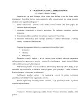 Valdžios ir galių pasiskirstymas organizacijoje 7 puslapis