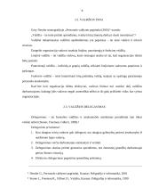 Valdžios ir galių pasiskirstymas organizacijoje 8 puslapis