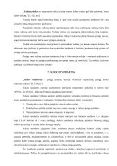 Valiutiniai santykiai tarptautinėje prekyboje 12 puslapis