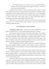 Valiutiniai santykiai tarptautinėje prekyboje 14 puslapis