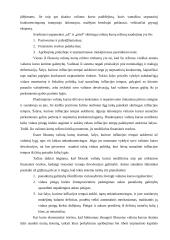 Valiutiniai santykiai tarptautinėje prekyboje 15 puslapis