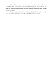 Valiutiniai santykiai tarptautinėje prekyboje 18 puslapis