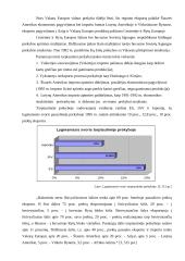 Valiutiniai santykiai tarptautinėje prekyboje 20 puslapis