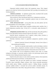 Valiutiniai santykiai tarptautinėje prekyboje 4 puslapis