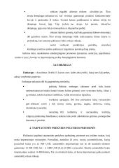 Valiutiniai santykiai tarptautinėje prekyboje 7 puslapis