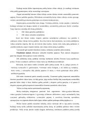 Valiutiniai santykiai tarptautinėje prekyboje 8 puslapis