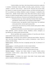 Valstybės biudžeto vaidmuo šiuolaikinių šalių ekonomikoje 8 puslapis