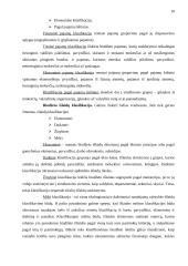 Valstybės biudžeto vaidmuo šiuolaikinių šalių ekonomikoje 10 puslapis