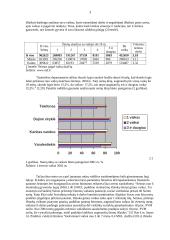 Turiu vieną vaiką: kas paskatintų turėti 2- 3? 3 puslapis