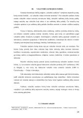 Valstybės formos samprata ir jų įvairovė 19 puslapis