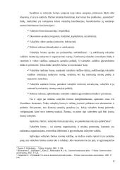 Valstybės formos samprata ir jų įvairovė 3 puslapis