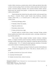 Valstybės formos samprata ir jų įvairovė 4 puslapis